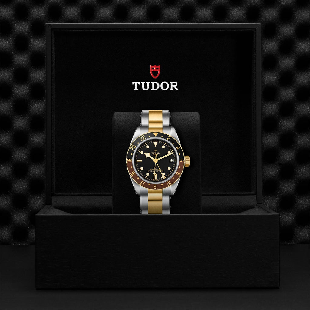 Black Bay GMT S&G