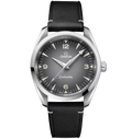 OMEGA Seamaster Railmaster, 38mm with Black Leather Strap