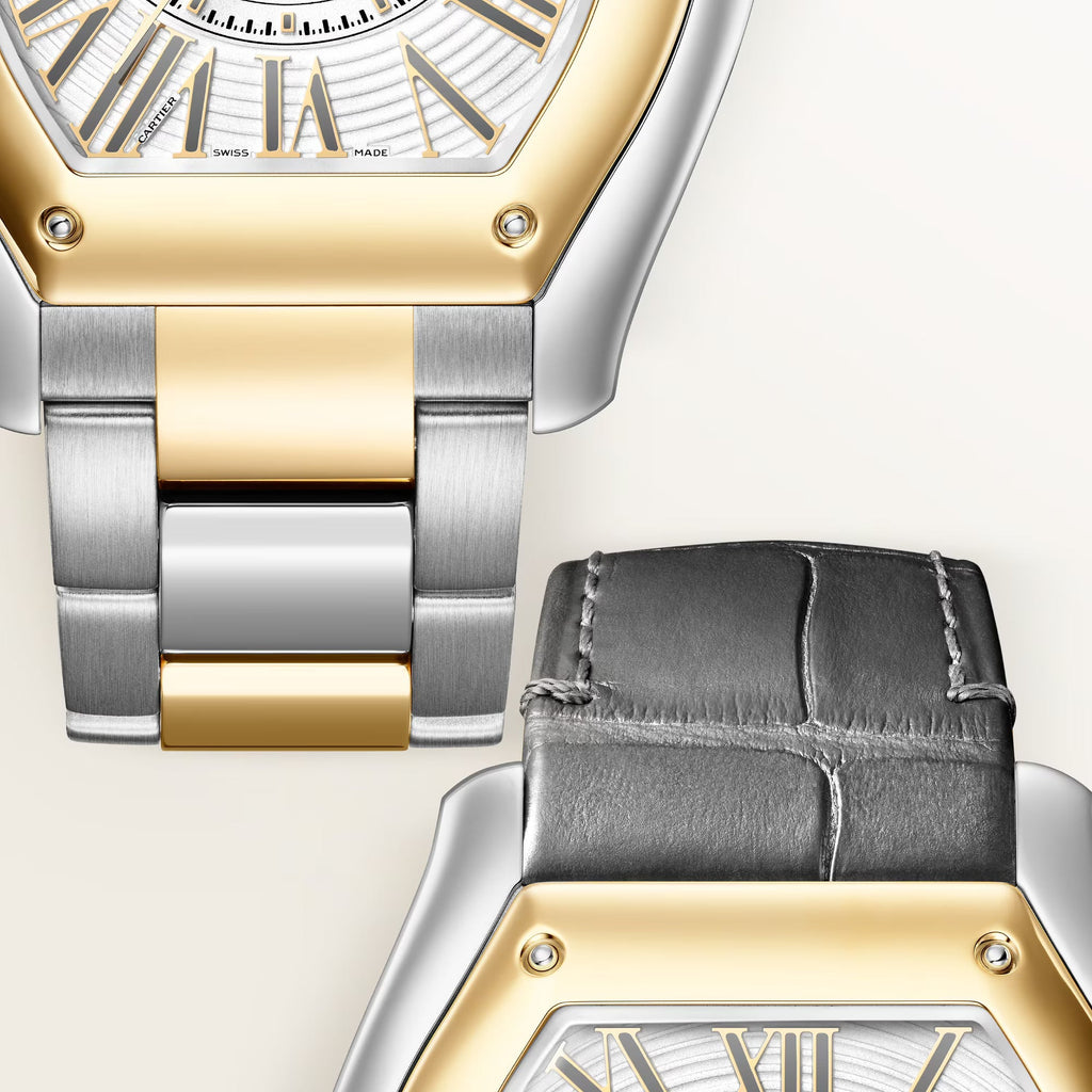 Roadster Watch