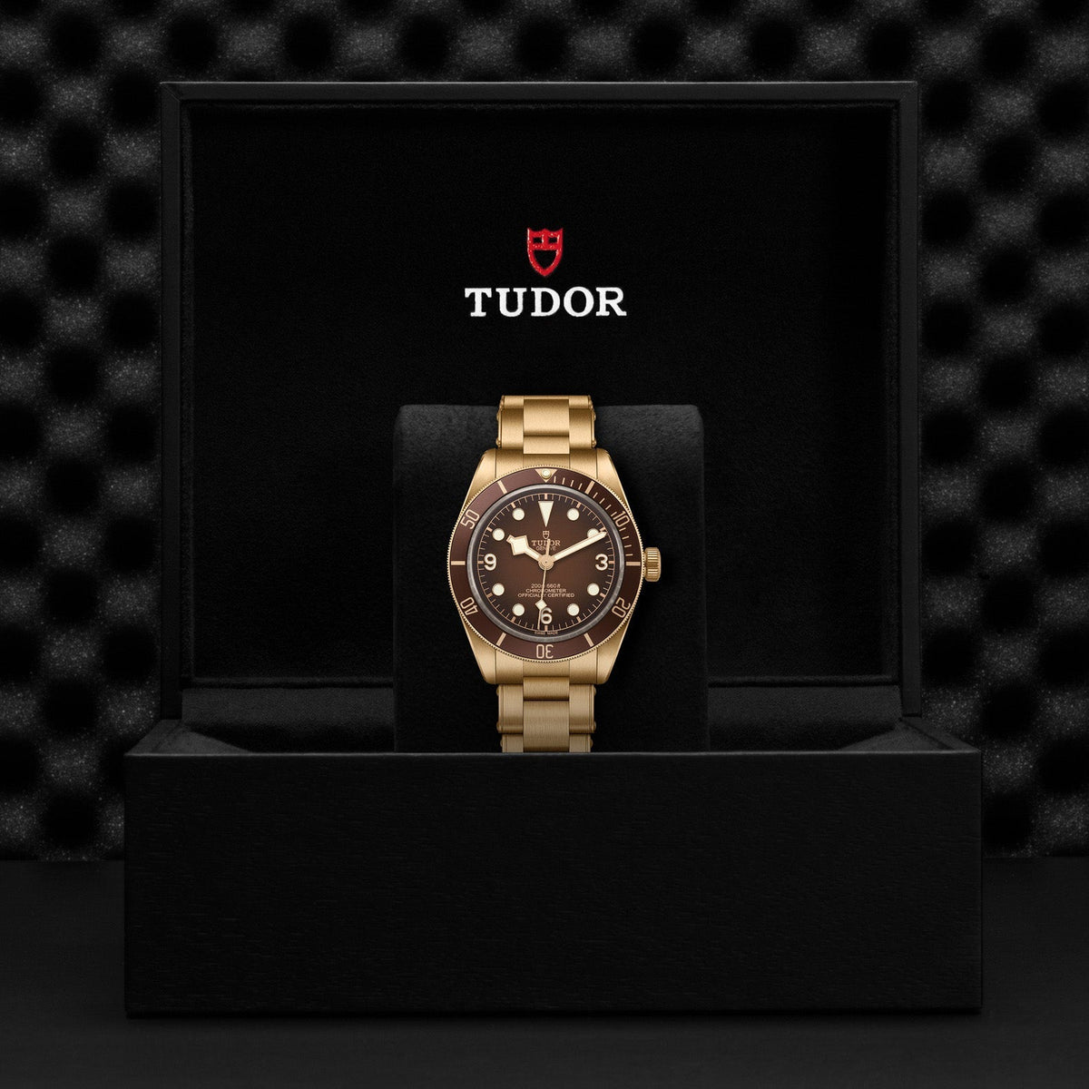 Black Bay 58 Bronze - Boutique Edition