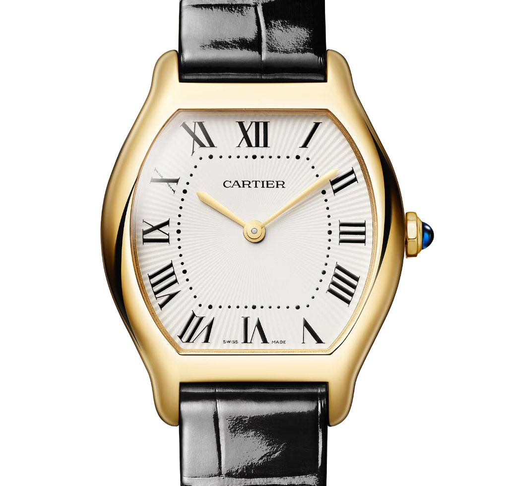 Tortue Watch